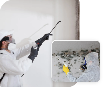 commercial mould removal process