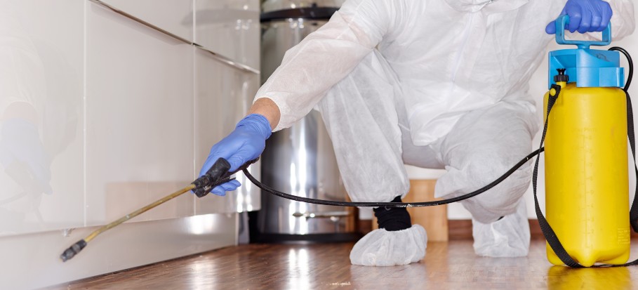 Commercial exterminator during restaurant pest control service